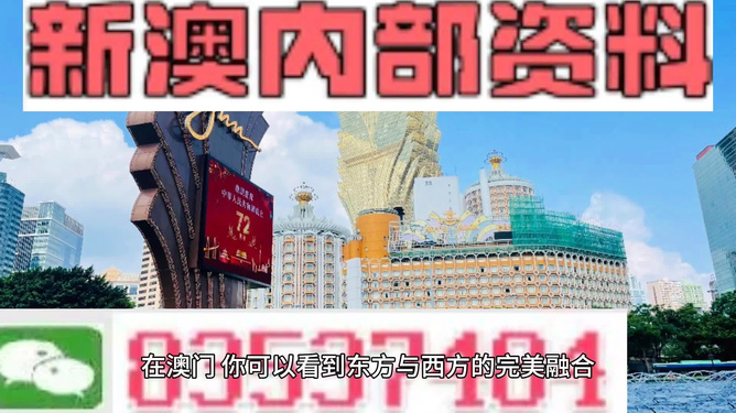 新澳2024年精准资料|标题释义解释落实|0.852264150