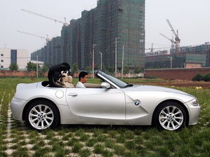 BMW Z4最新报价及车型详细解析