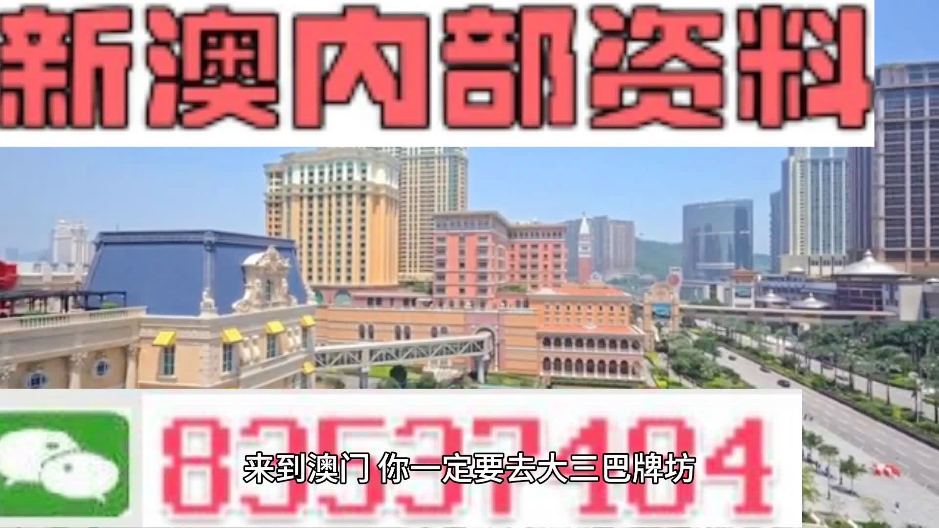 2024年12月17日 第8页