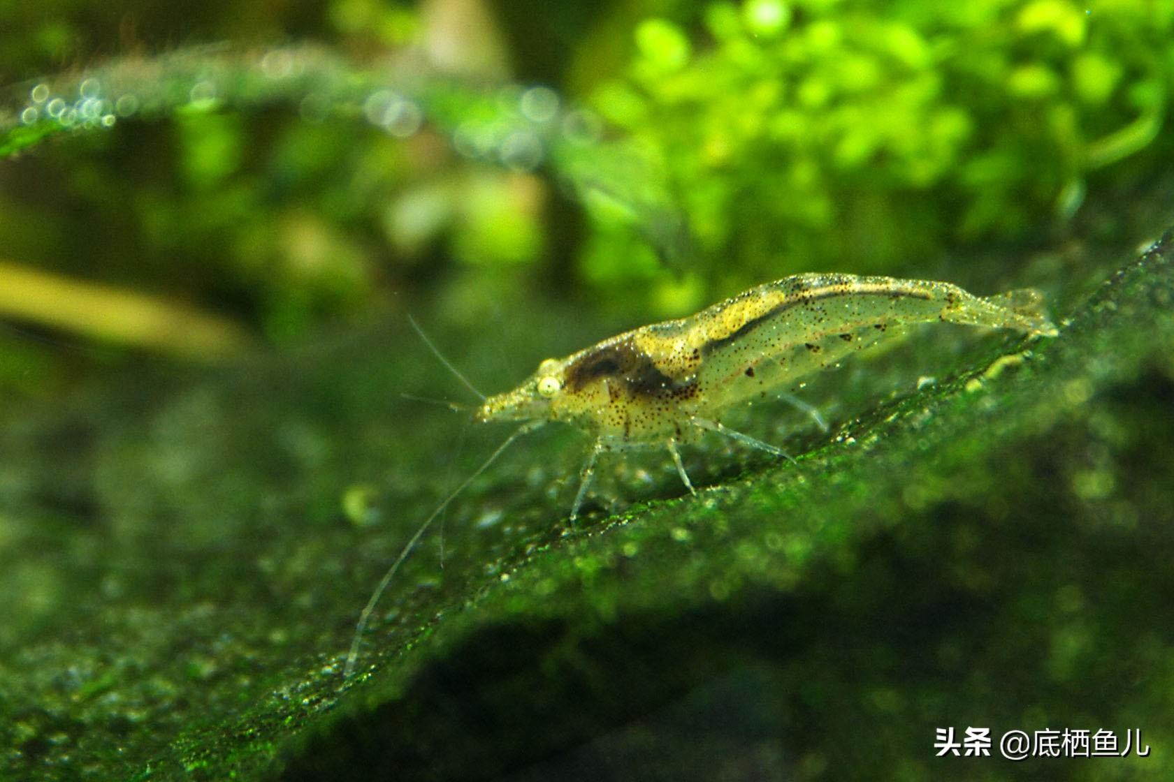 汽车安全与保养，刮漏问题的应对策略